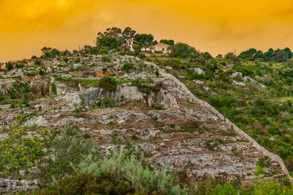 Sur les collines siciliennes | Ambelia